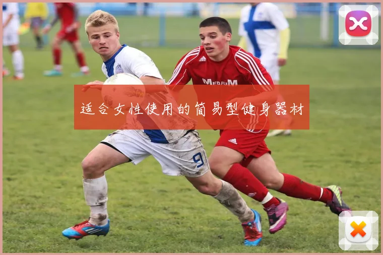 适合女性使用的简易型健身器材